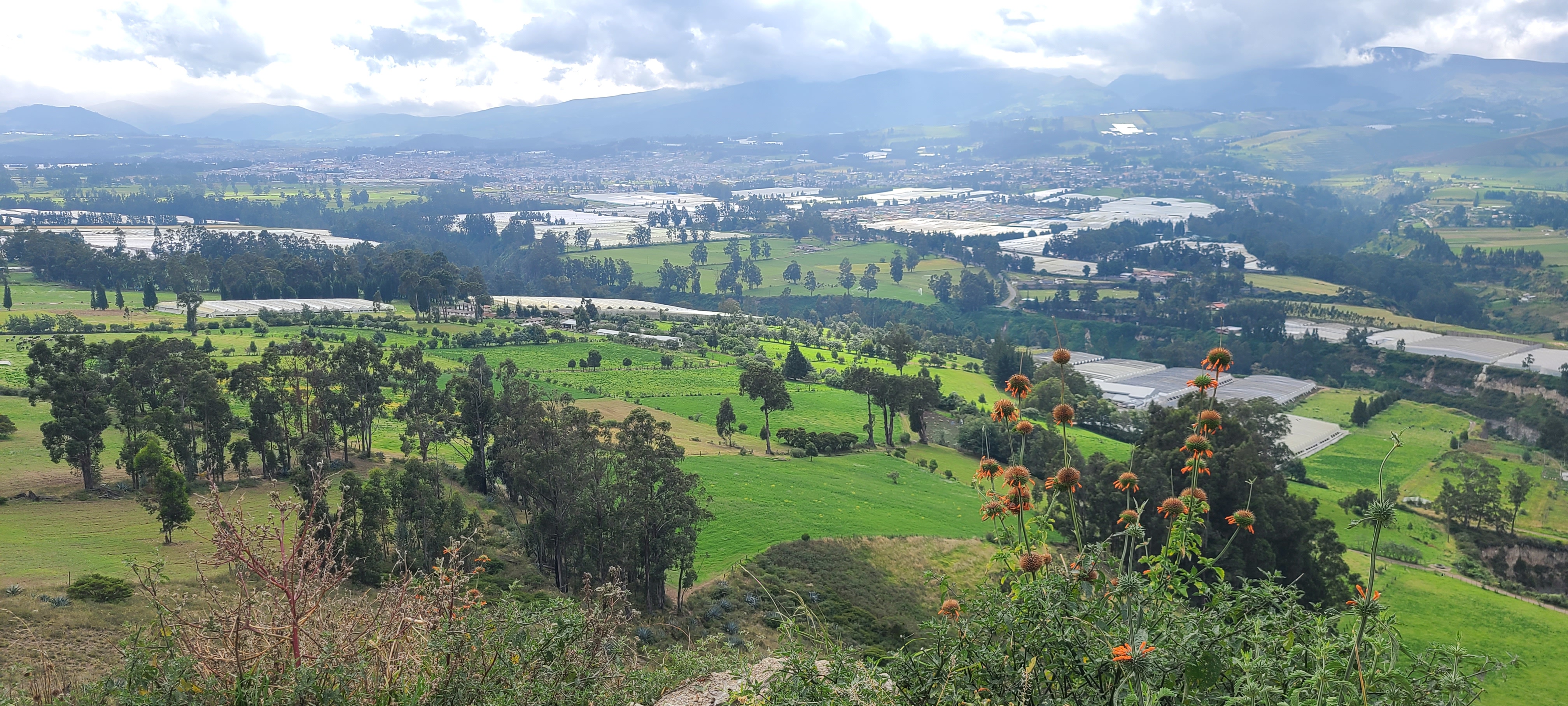 Research Landscape Banner